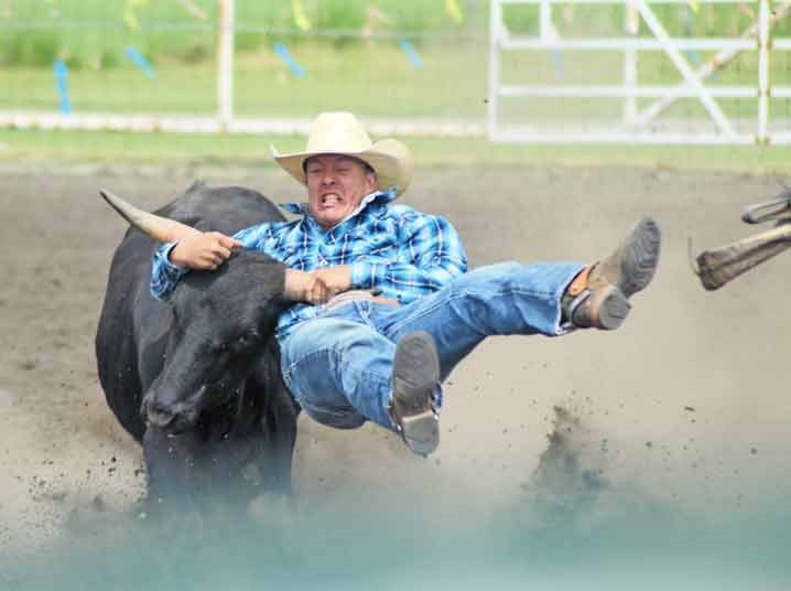 Helena Long picked up an SWNA award for this spectacular action shot of steer wrestler, Joe King, who was part of a previous Unity Western Days rodeo.