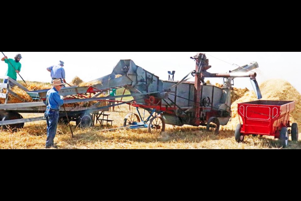 A demonstration of old-time harvesting was done at the Glen Stomp farm at Griffin on Sunday, with spring wheat in stooks, gathered in hay racks, and fed through this threshing machine.