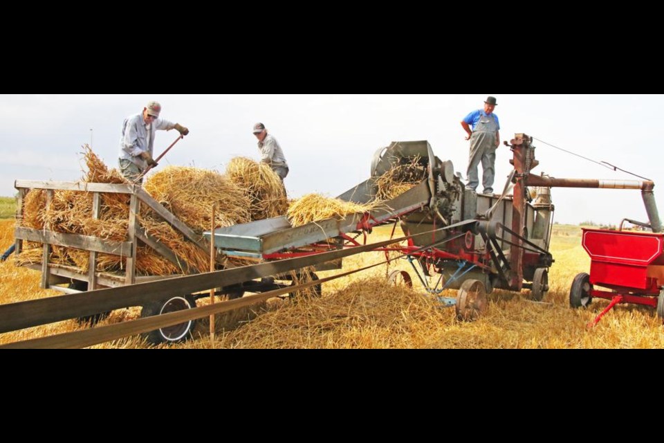 Glen Stomp, atop the threshing machine at right, oversaw the threshing operation held on his farm at Griffin on Sunday afternoon.