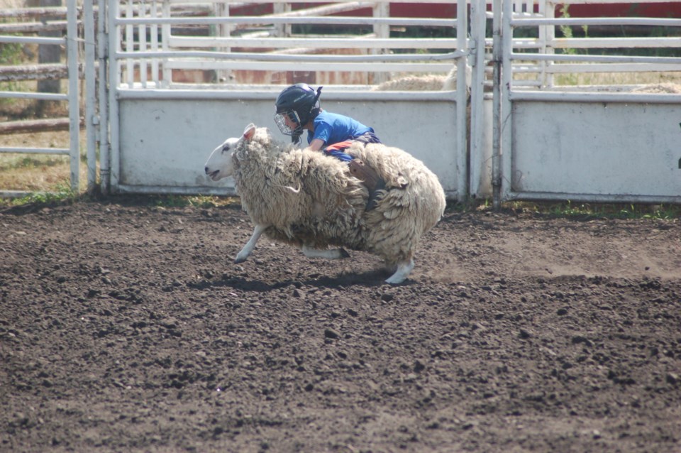 sturgis-mutton_result