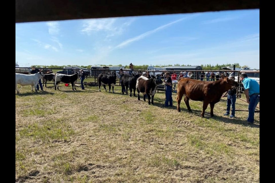 A new event was added to the Unity Western Days lineup as the Unity  4-H Club held their Achievement Day on June 4.