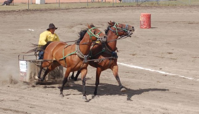 Kelvin Young of Weekes got a good start in this chariot race.