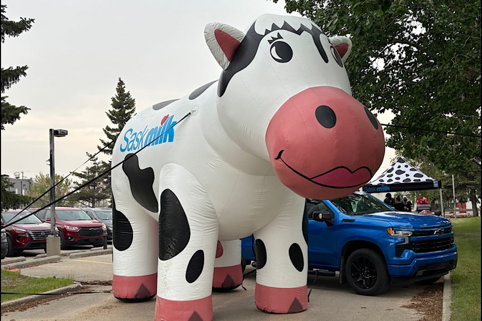 The cow welcomes people to the SaskMilk Milk and Cookies event to mark World Milk Day.