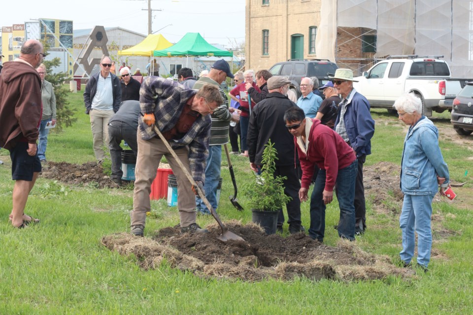 yfbta-plants-trees-at-mill-for-arbor-day
