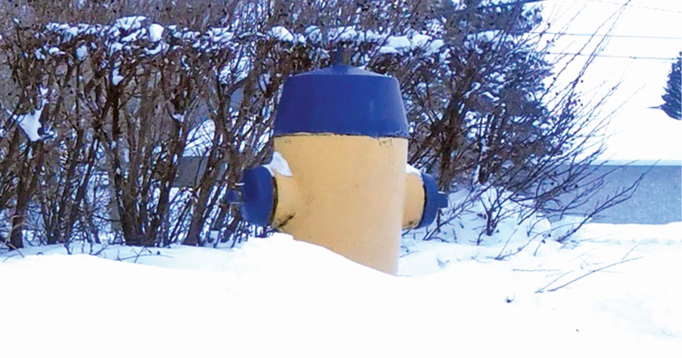 Humboldt Snow Hydrant