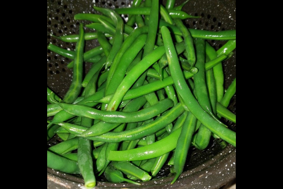 Blanching and freezing is one method of preserving garden produce for later use.