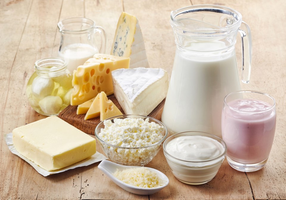 dairy products 