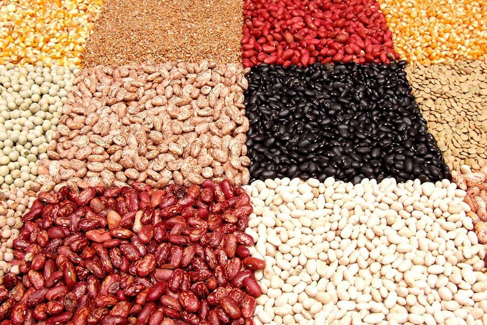 legumes-0625