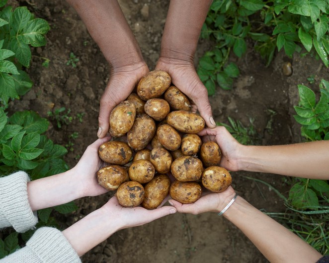 potatoes