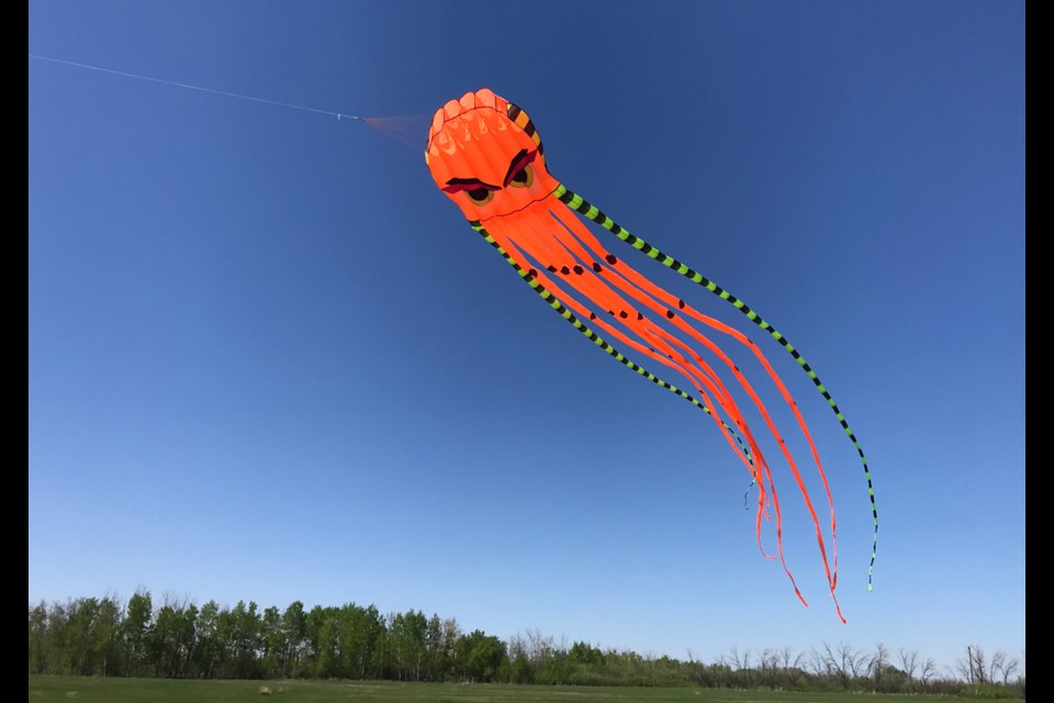 A giant kite flies in the air.