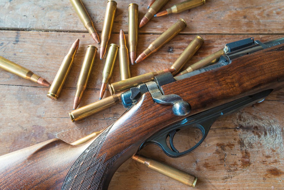 gun-amnesty