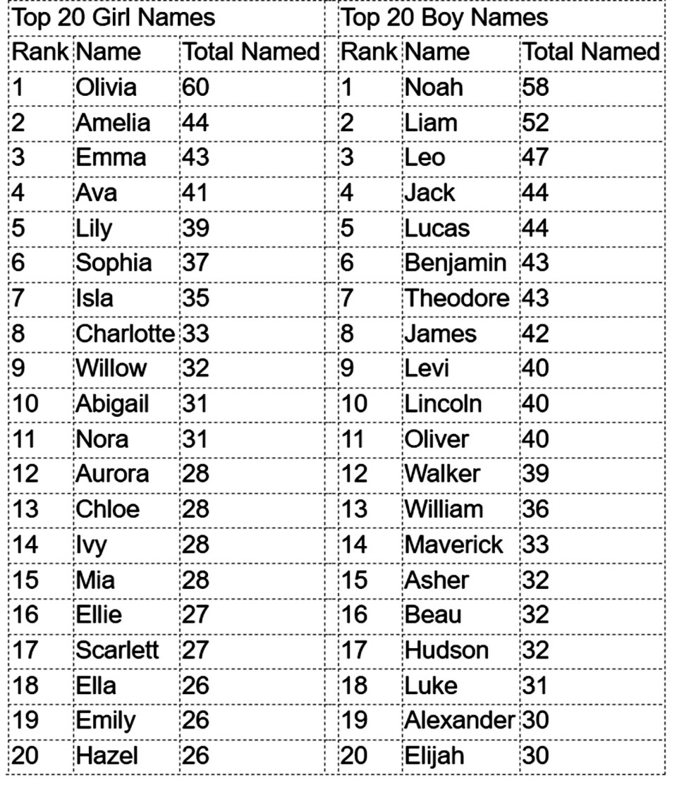 babynames22