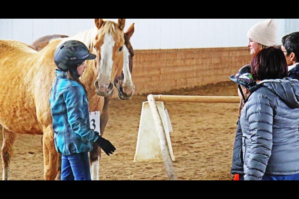 Hannah Fladeland used her voice and hand on the horse to guide it to a pen, as her “group” followed her, at the Roughbark horse arena near Trossachs recently.