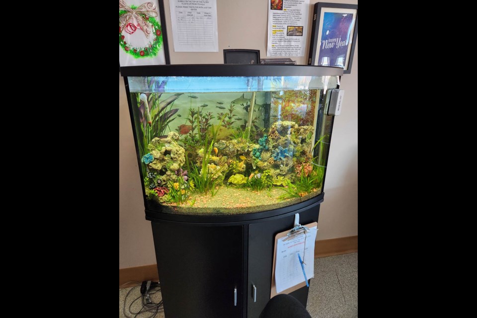 An aquarium was purchased for the residents at Moose Mountain Lodge in Carlyle with proceeds from the online auction. 