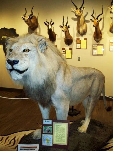 museum_africansafari