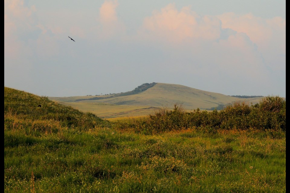 A mile east of my home in the Wood Mountain Uplands stands a prominent land feature called Three Mile Butte.