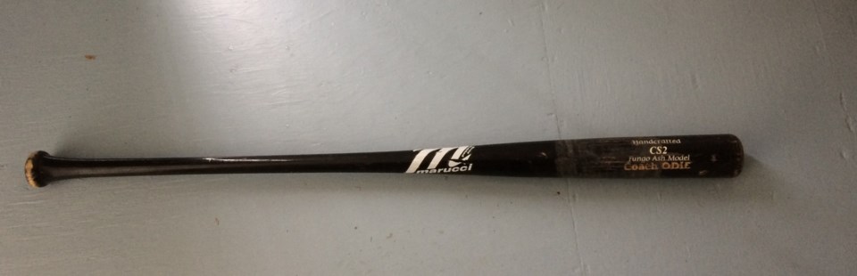 thumbnail_baseball-bat-2025