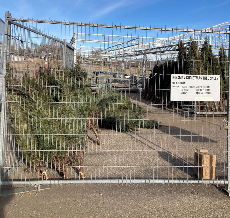 Estevan Kinsmen Christmas Tree Sale