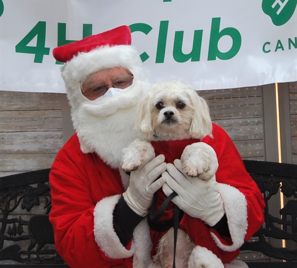 pet charlie and santa