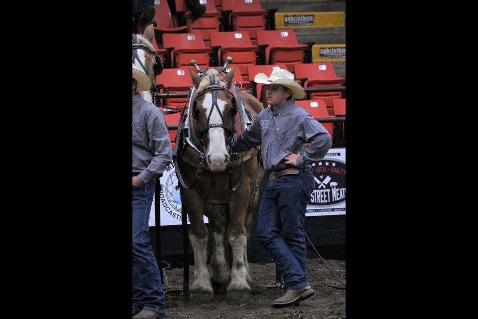 Jonny Luster the youngest teamster in the Yorkton event.