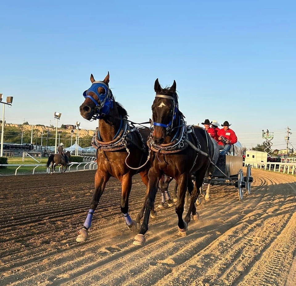 layne-macgillivray-racing-team-2024-calgary-stampede