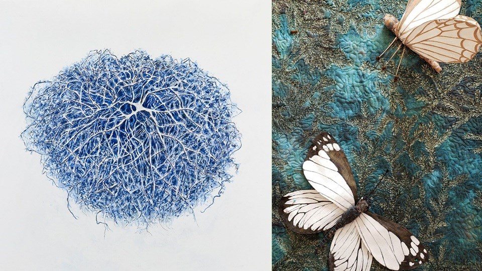mess_beauty-web-humboldt-museum