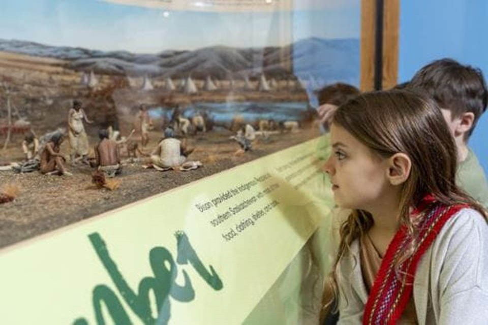 Learn about the importance of Bison to First Nation culture and survival at the Royal Saskatchewan Museum.