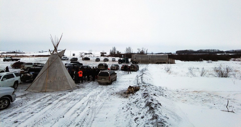 bison release for media Parks Canada 72