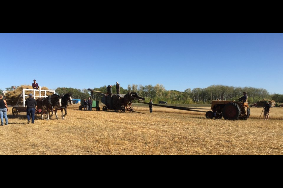 Volunteers get into position to begin the threshing demonstration.