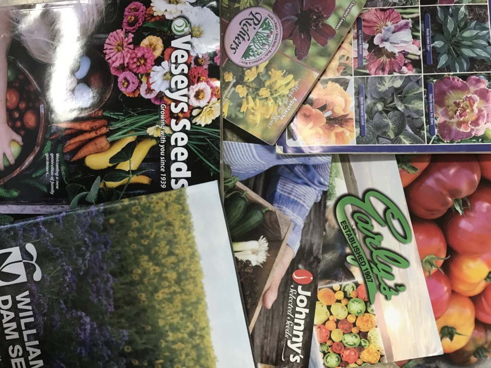 catalogues-large0224