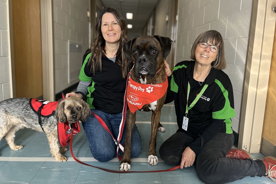 colleen-and-doreen-therapy-dogs-1080