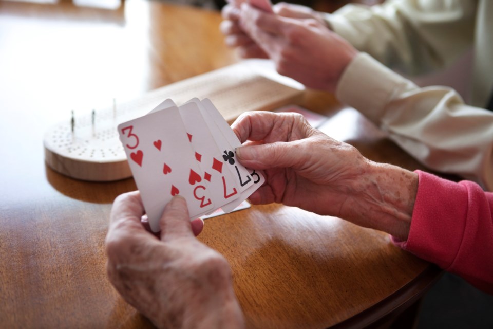 cribbage game