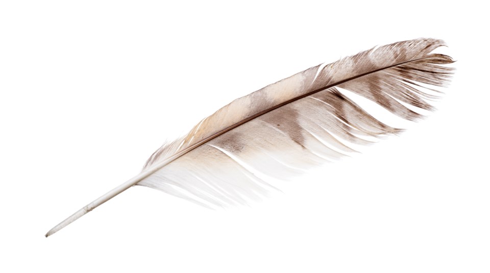 Feather