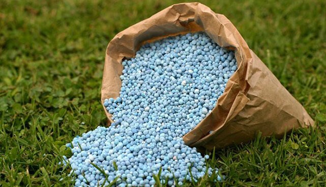 fertilizer