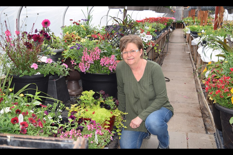 As the temperatures rise, things are getting busy at Canora Greenhouse. Owner Cora Tibbett said many gardeners have been coming in to find that special flower or other plant to add to their yard.