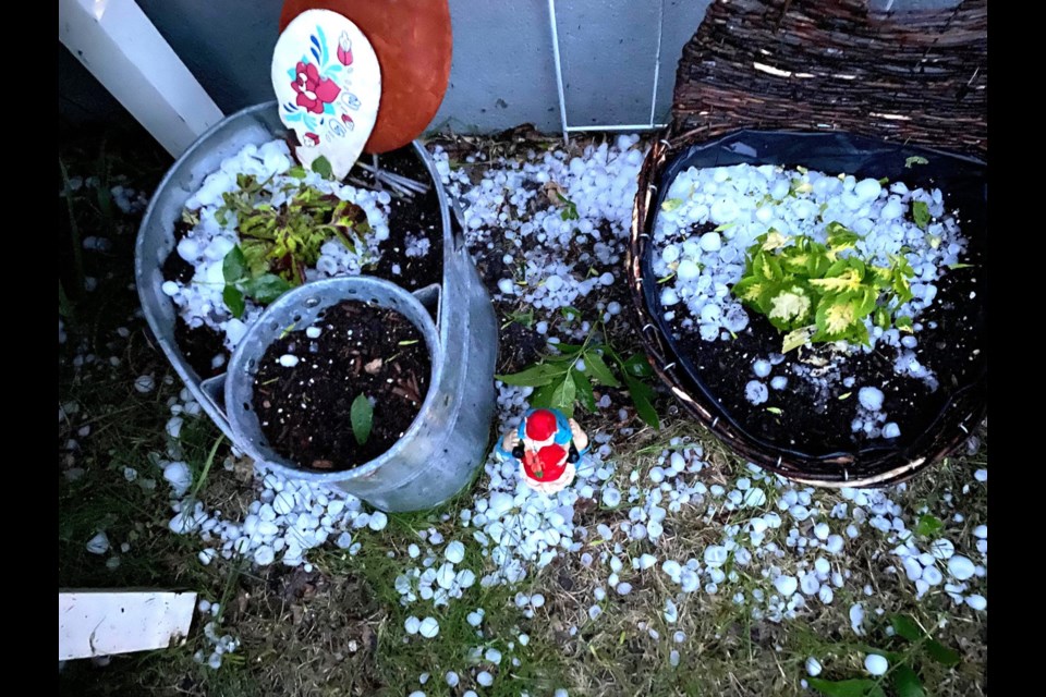 Hail, the largest stones approximately the size of a quarter hit Yorkton Thursday evening.