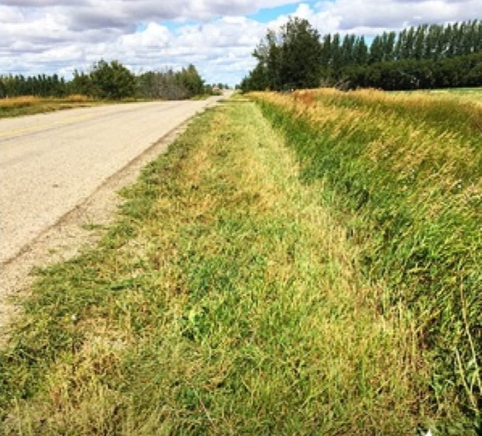 Hay and Ditch Mowing