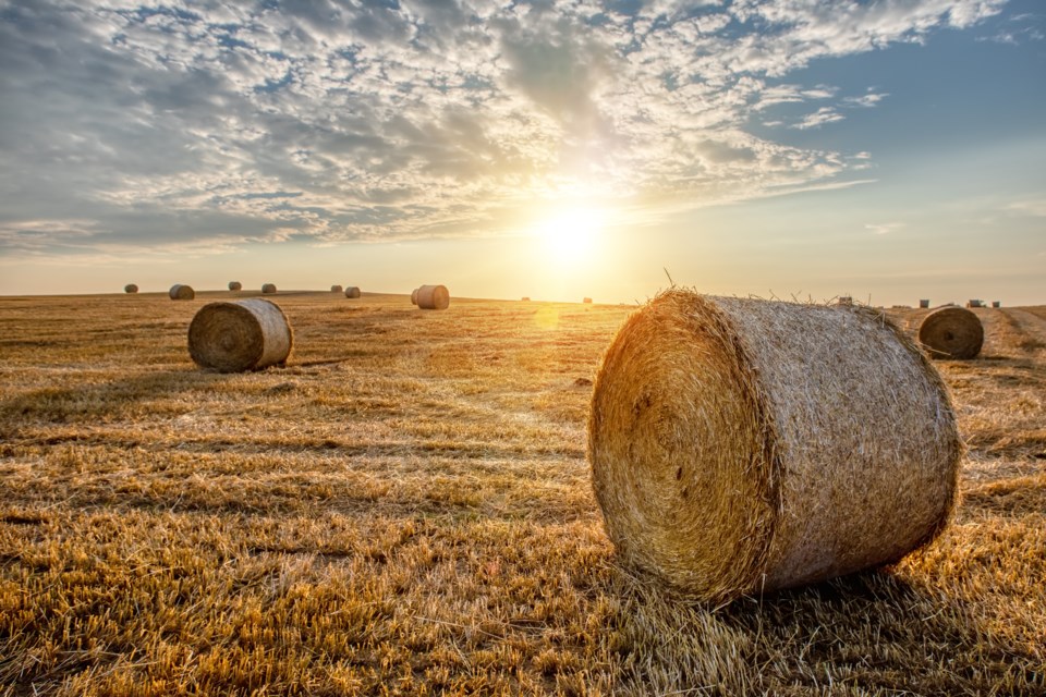 hay bales