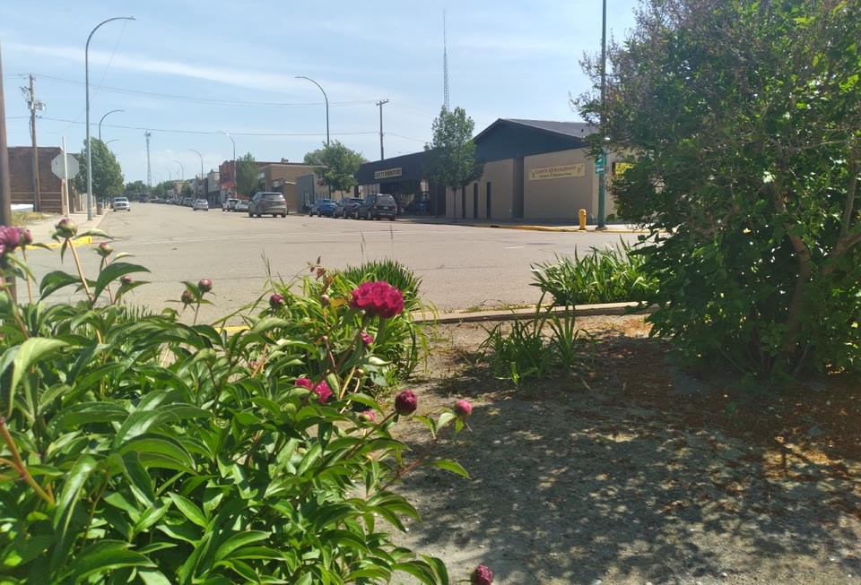 council-july-14