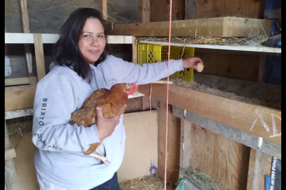 Kerrie Norton of Cote First Nation, who has established the the Mountain Eagle Woman Food Sovereignty Initiative, has added chickens and chicken coops to her interest in gardening in order to help restore Indigenous food systems for First Nations people.