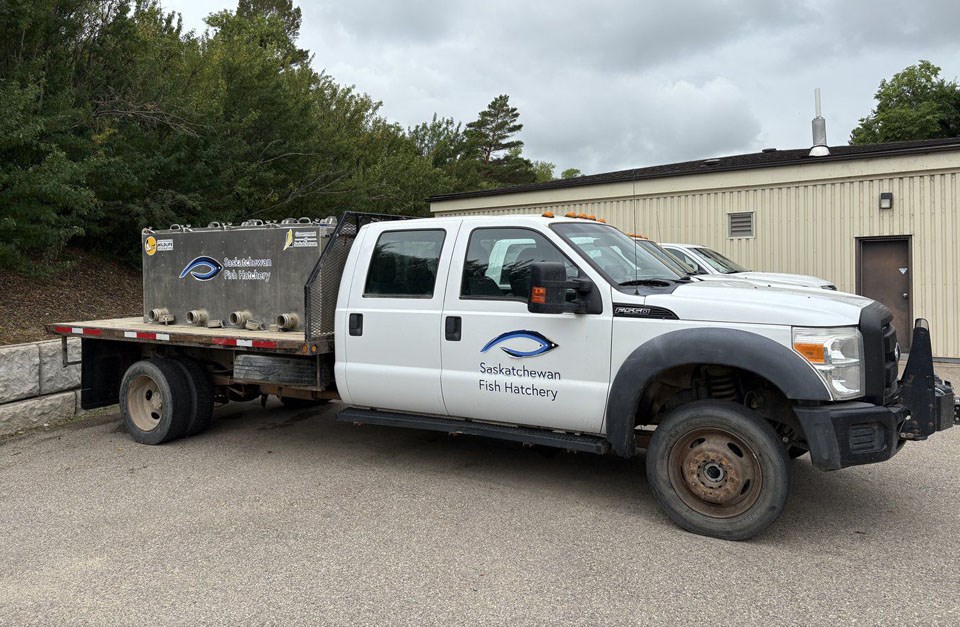 Saskatchewan Fish Hatchery offers public tours from May until September long weekend, offering a glimpse into the 110-year-old operation that produces fish to enhance Saskatchewan's sport angling.