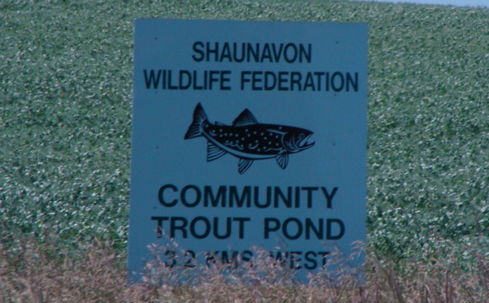 Shaunavon Wildlife Federation's trout pond has been negatively impacted by the recent years of drought.