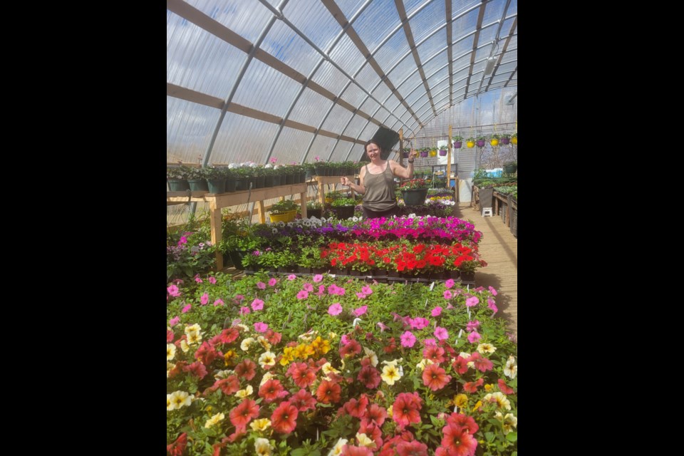 Kara Wakefield of Bloomers Greenhouse is open for business. 