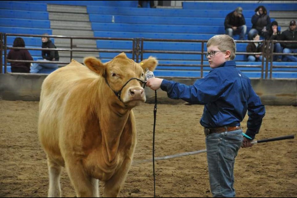 Jack Archdekin with the heifer he showed at Saskatoon Beef Expo, where he was named junior champion showman. 