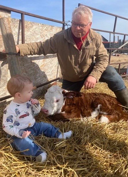 Elmer Issacs and his grandson inspect a new addition to a purebred Hereford herd in the Meota district. 