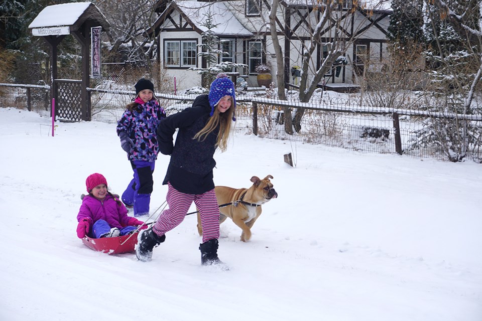 Youngsters and their best pal get out to enjoy the first snowfall of the season. 