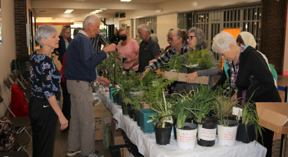 plant sale 1 June 3