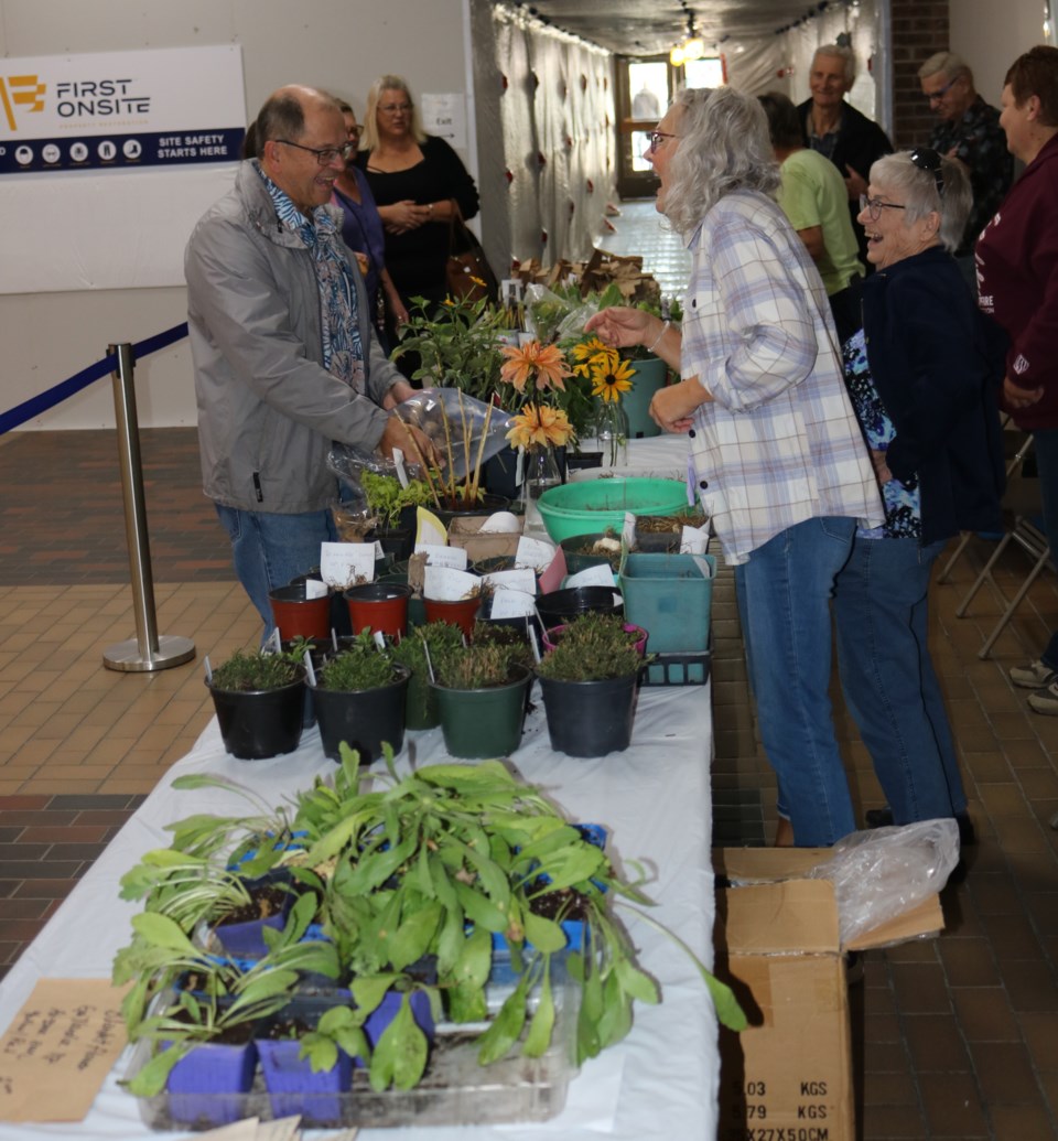 plant-sale