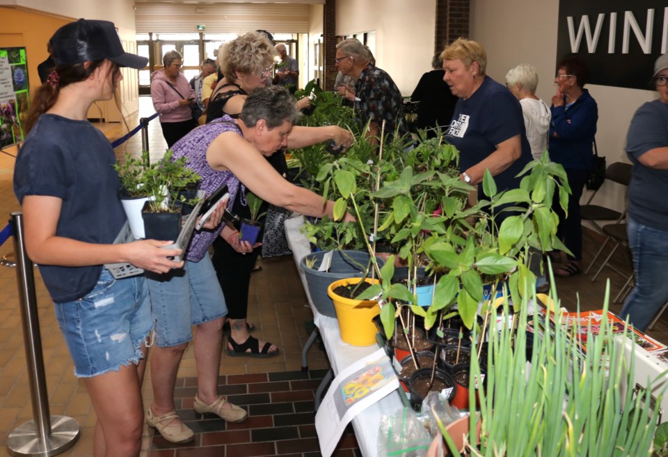 plant-sale2025
