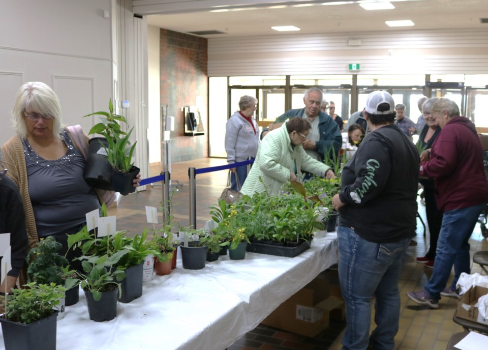plantsale2024